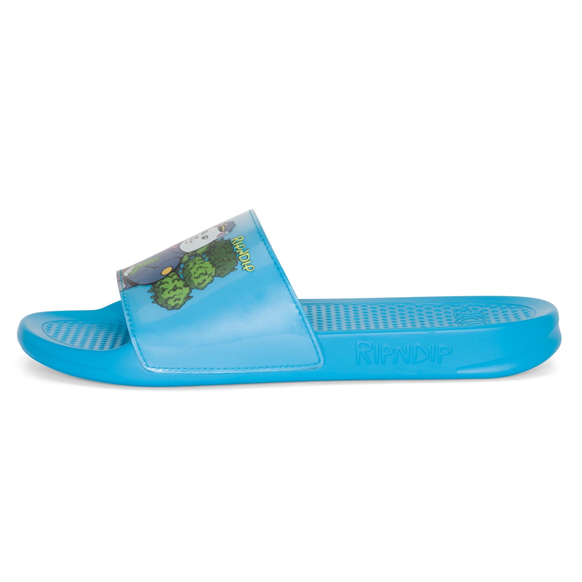 RIPNDIP Confiscated Slides (Blue)