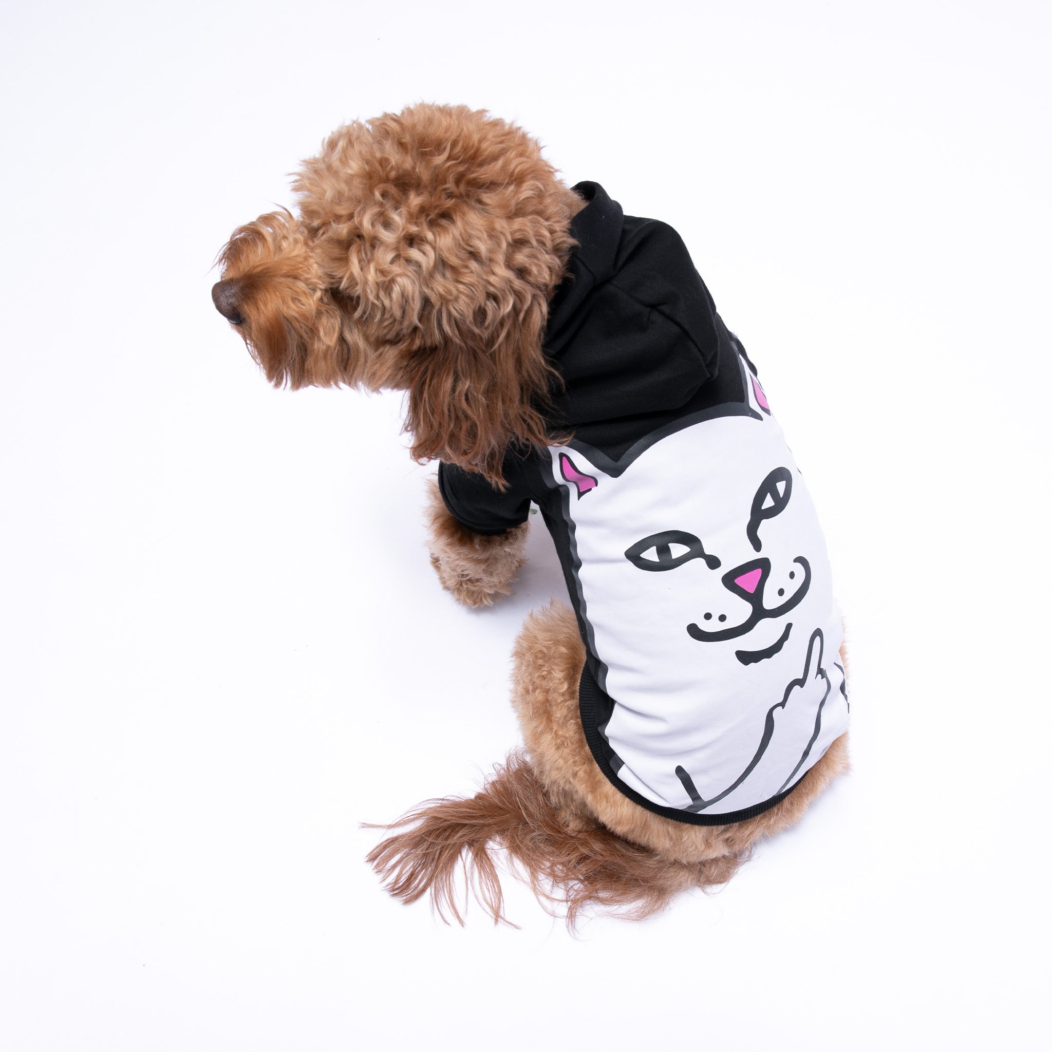 RIPNDIP Lord Nermal Pet Hoodie (Black)