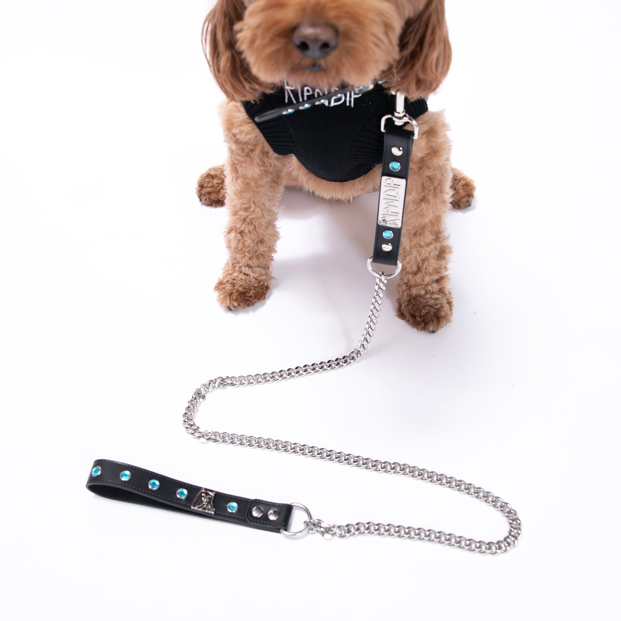 RIPNDIP Lord Nermal Studded Pet Leash (Black)