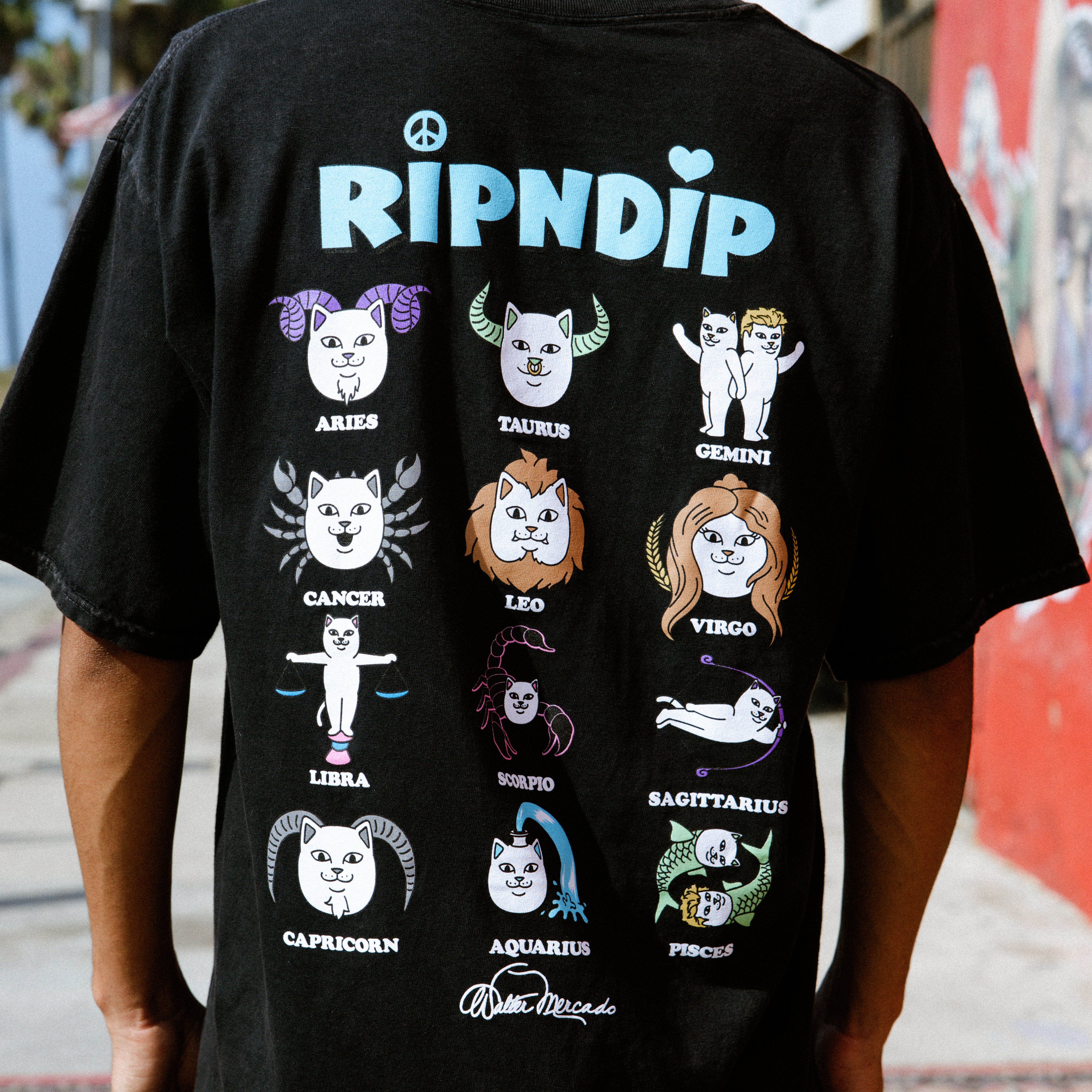 Ripndip x Walter Mercado – RIPNDIP
