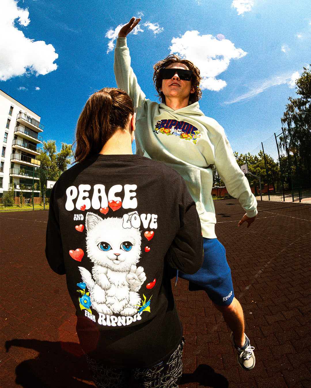 Official Ripndip - Apparel, Accessories, Skate, & Lord Nermal