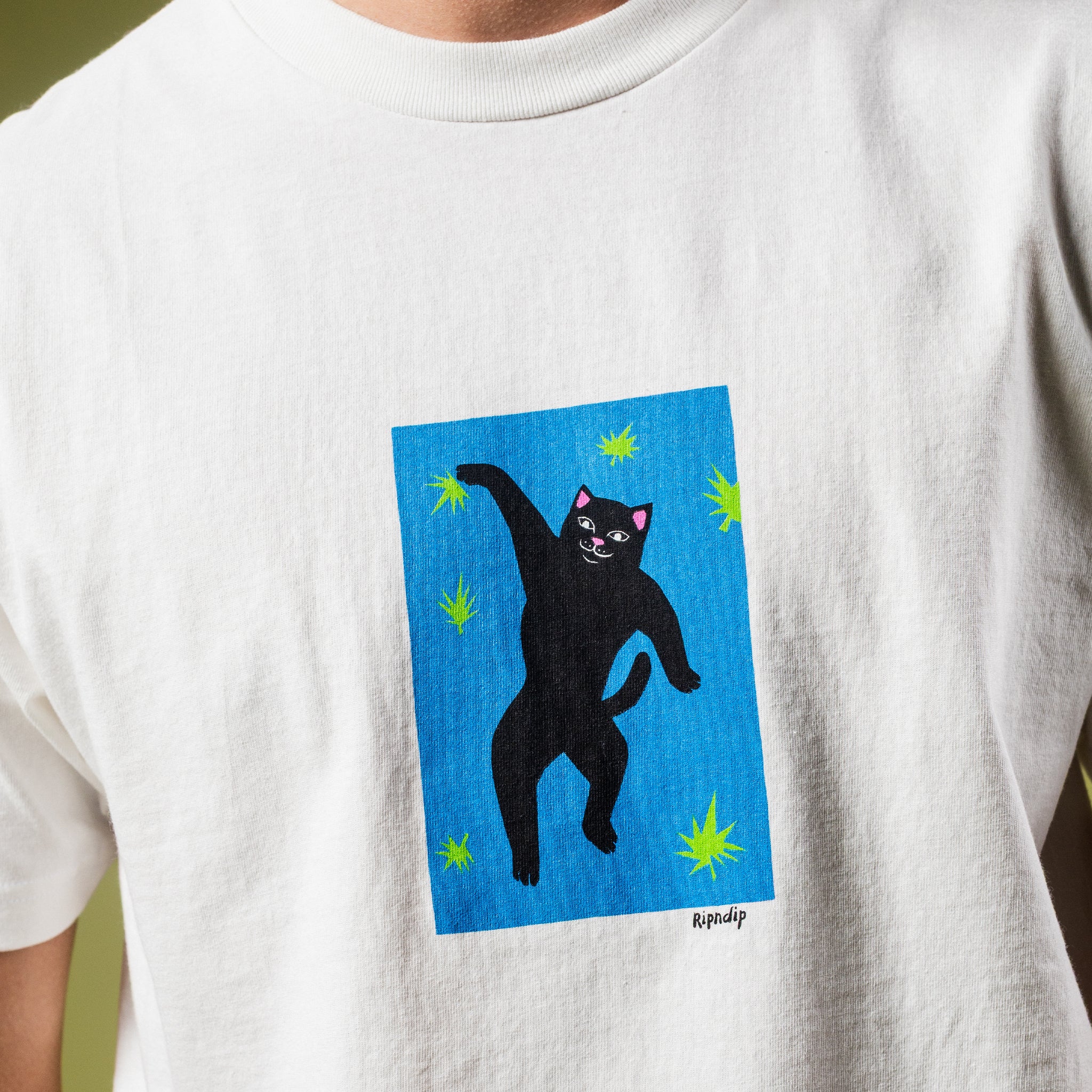 Ripndip Official - Apparel, Accessories, Skate, & Lord