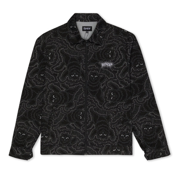 IMG_2630_grande.jpg?v=1762447187