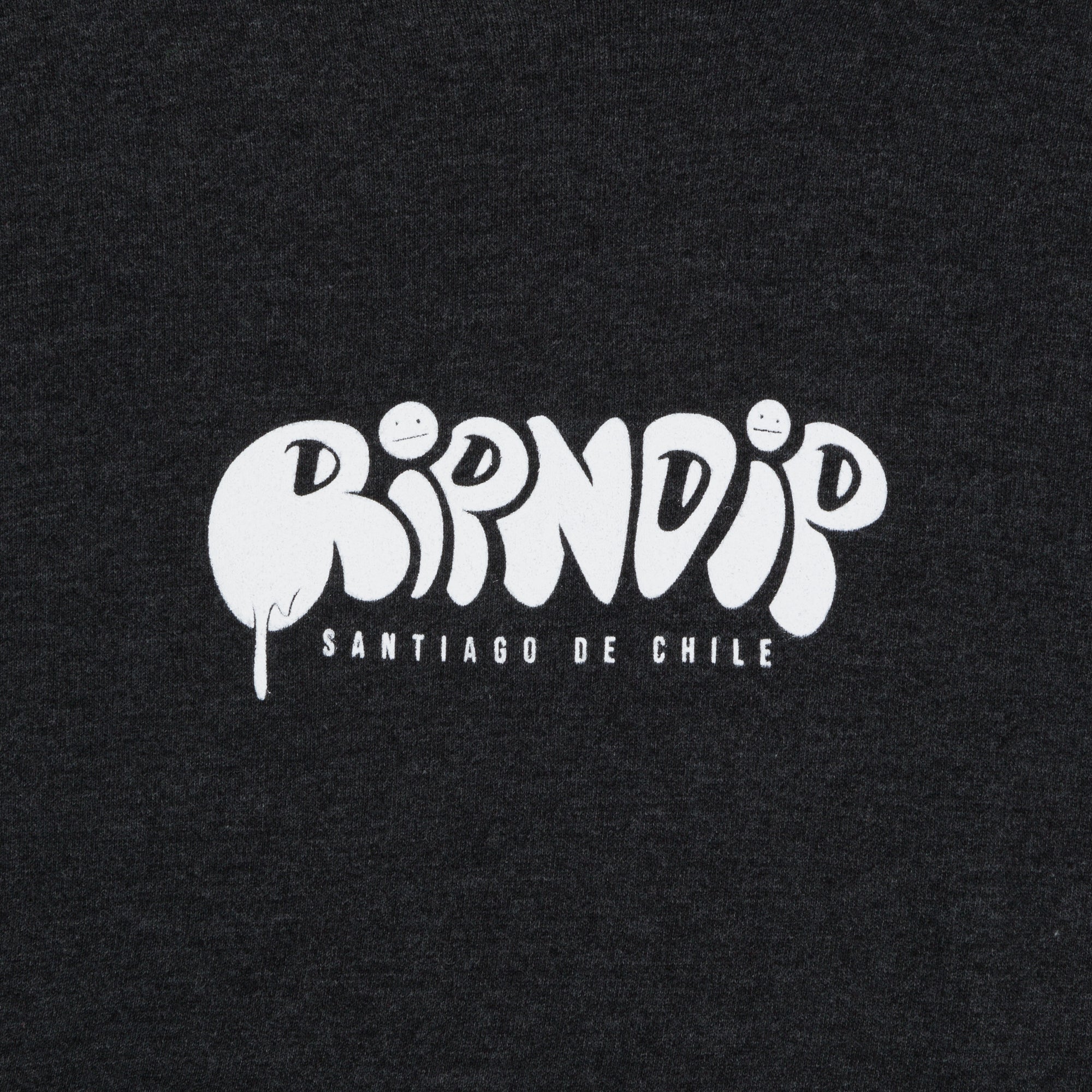 RIPNDIP Santiago Hoodie (Charcoal)