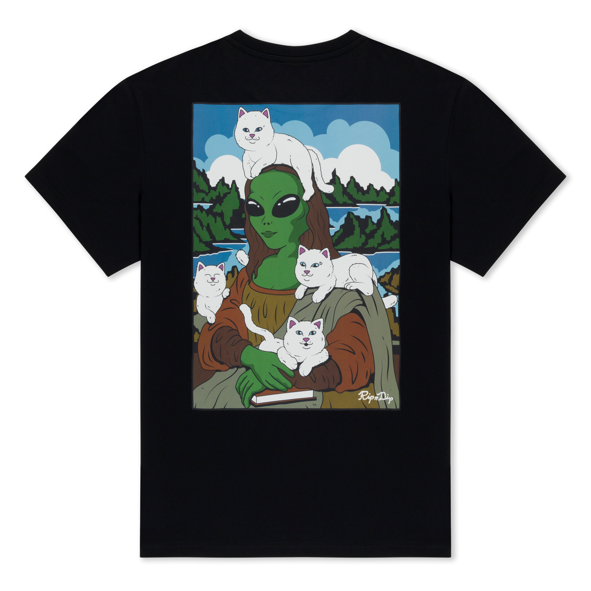 Here All Along Tee (Black) – RIPNDIP