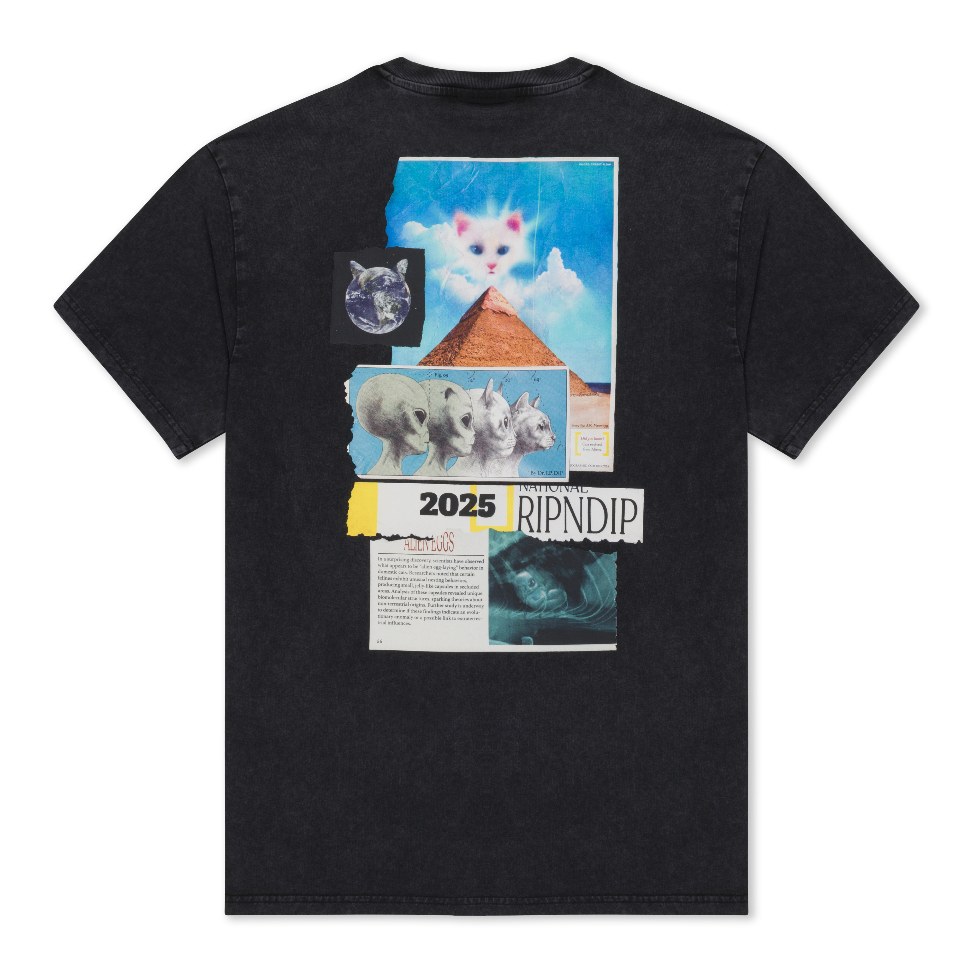 RIPNDIP Nerm Geo Tee (Black Vintage Wash)
