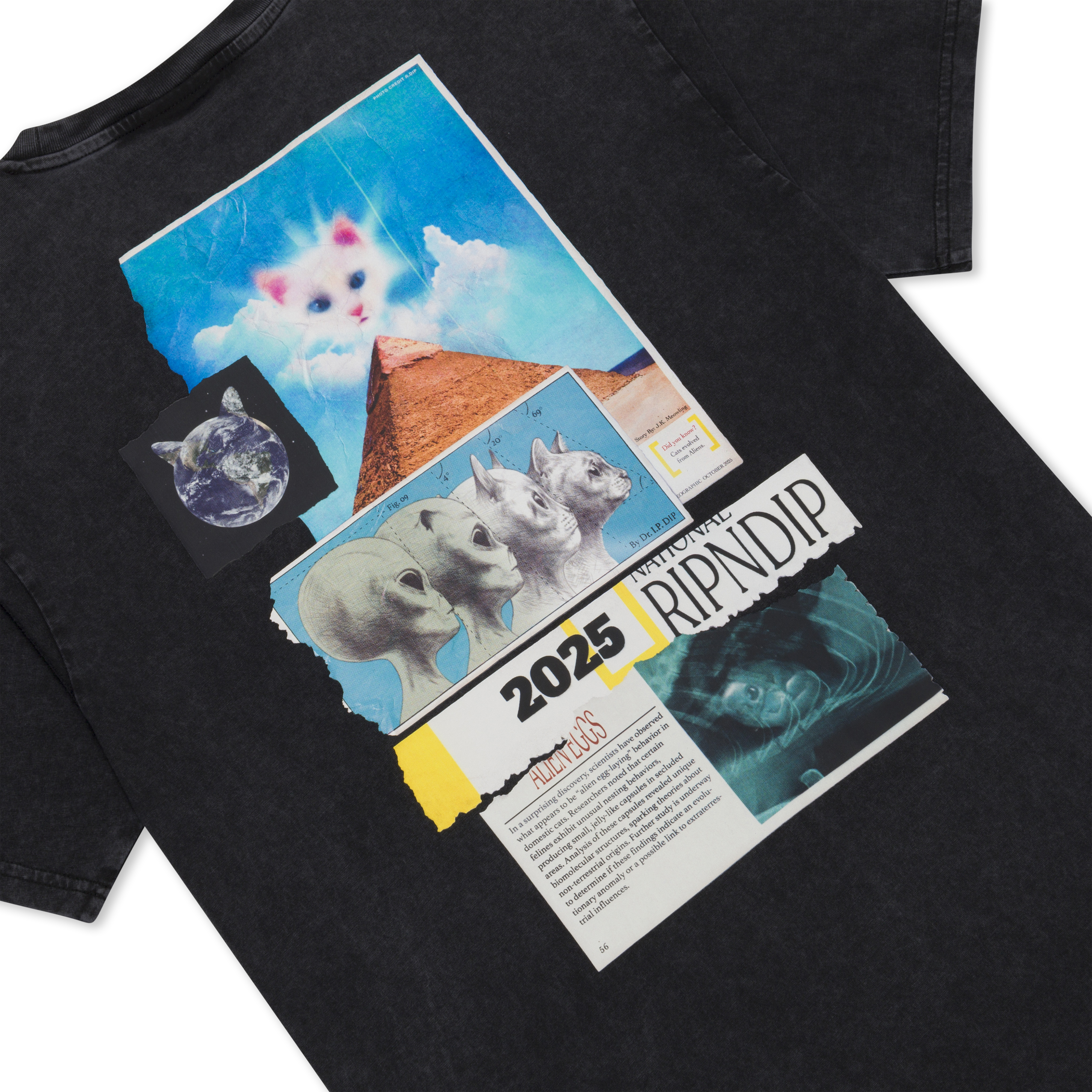 RIPNDIP Nerm Geo Tee (Black Vintage Wash)