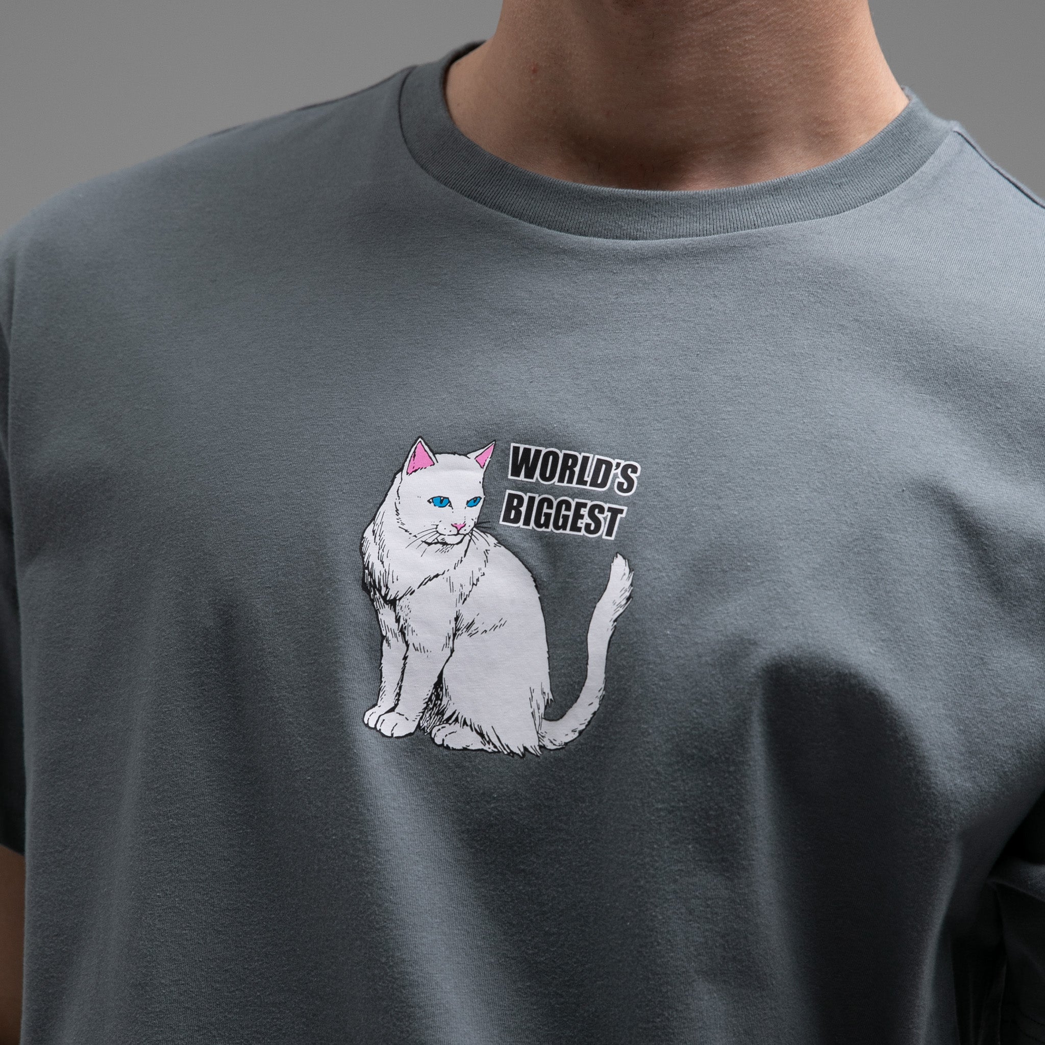 RIPNDIP World's Biggest Tee (Charcoal)