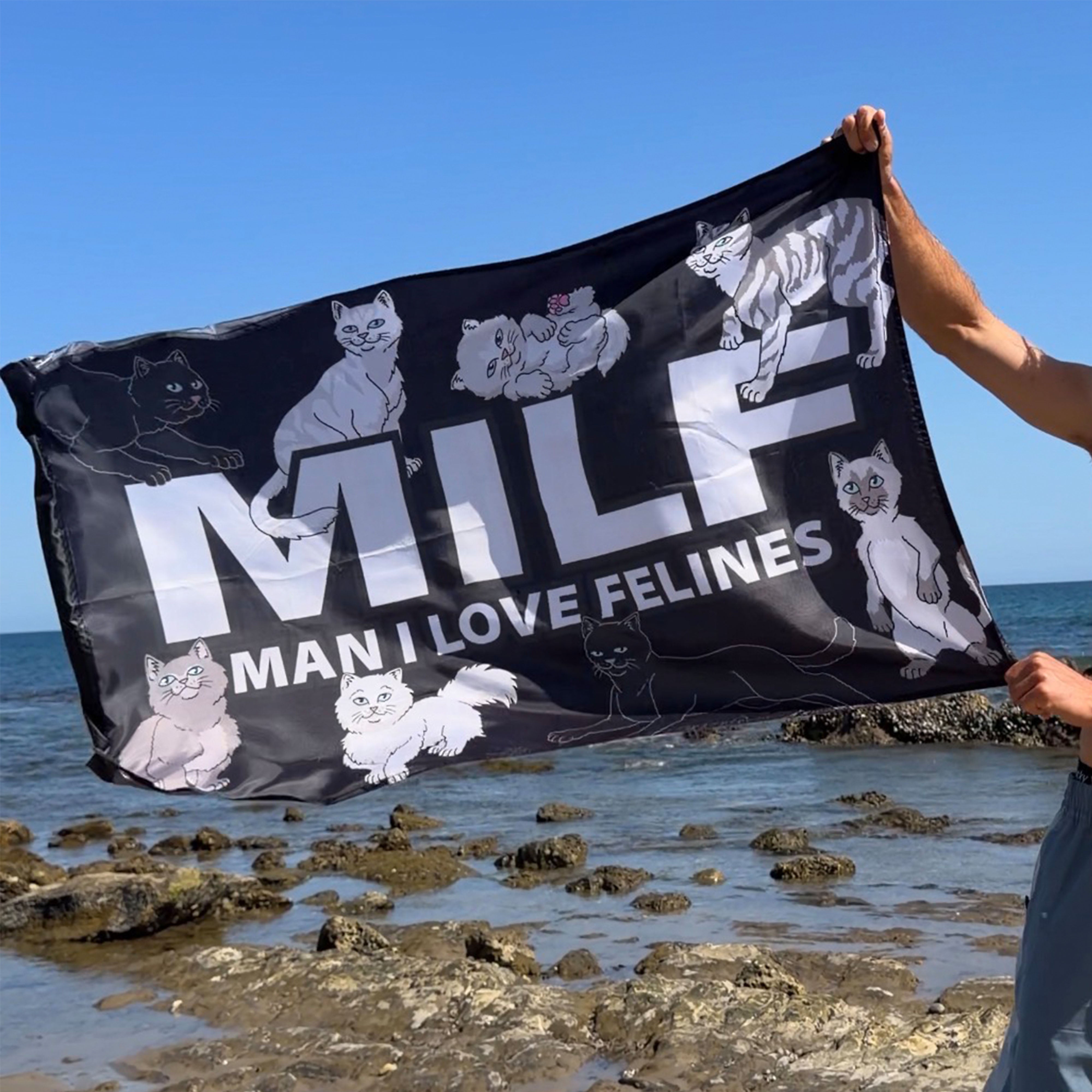RIPNDIP Man I Love Felines Flag (Black)