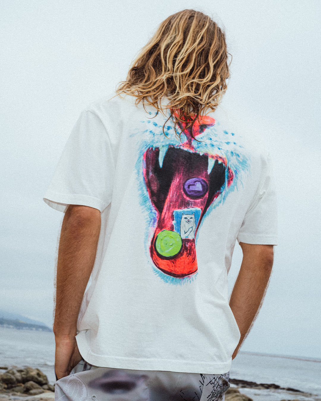 Shroom Diet – RIPNDIP