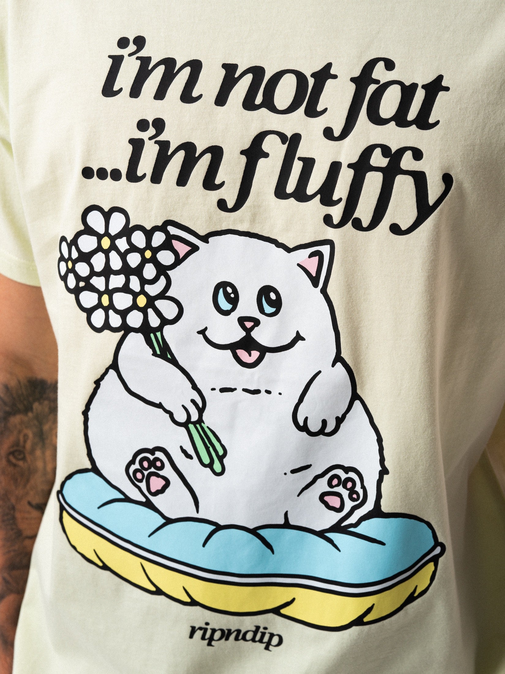 Furniture / Statues – RIPNDIP