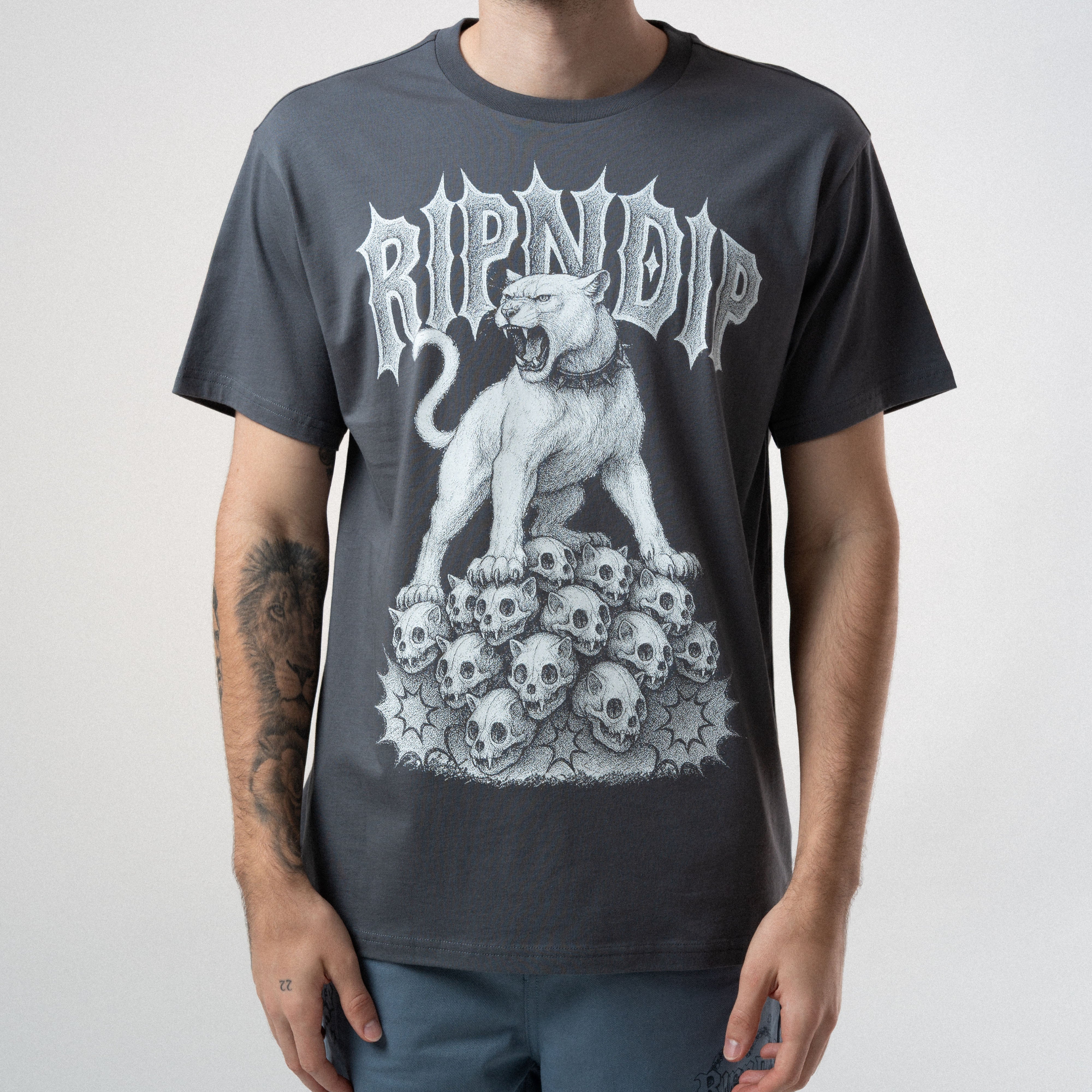 RIPNDIP Wasteland Tee (Charcoal)