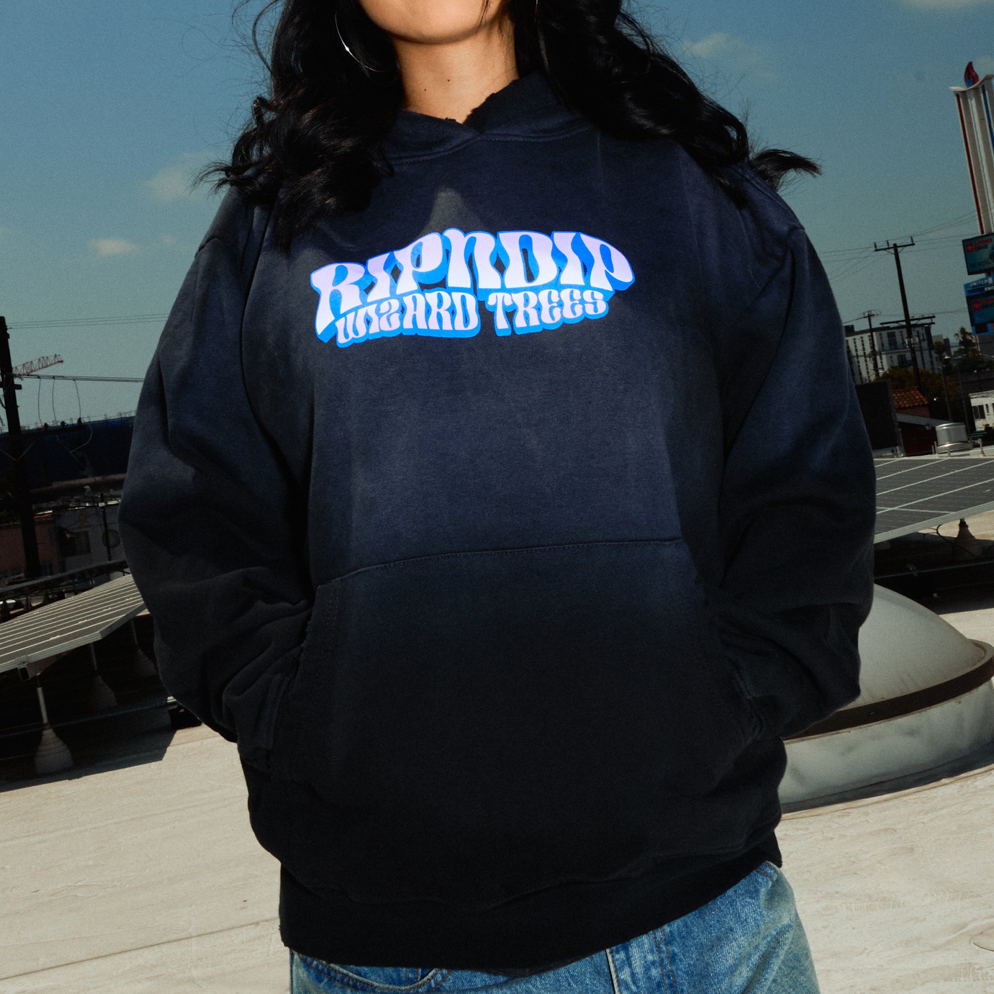 RIPNDIP Ripndip Wizard Trees Riding High Hoodie (Washed Black)