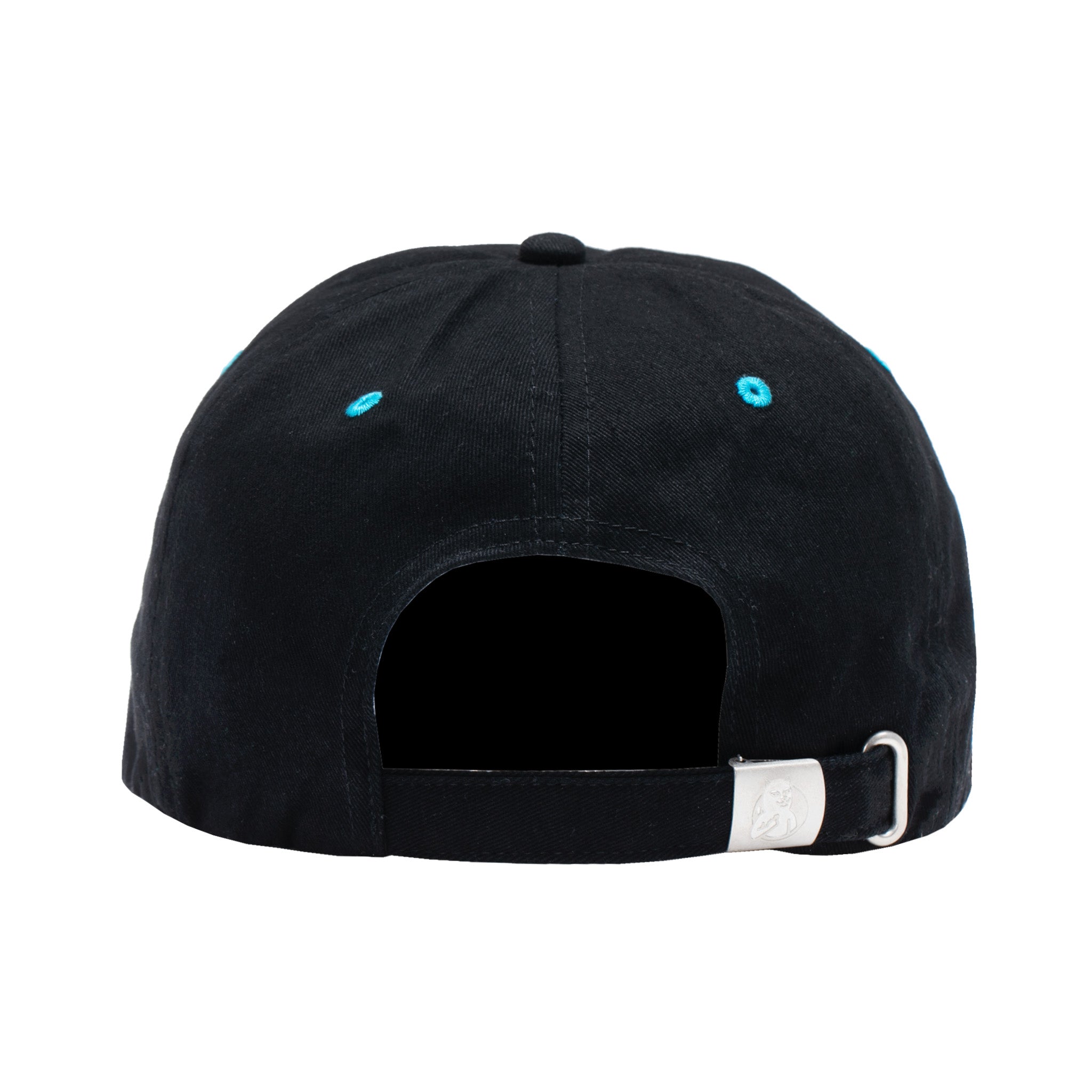 Summer Revenge 6 Panel (Black) – RIPNDIP