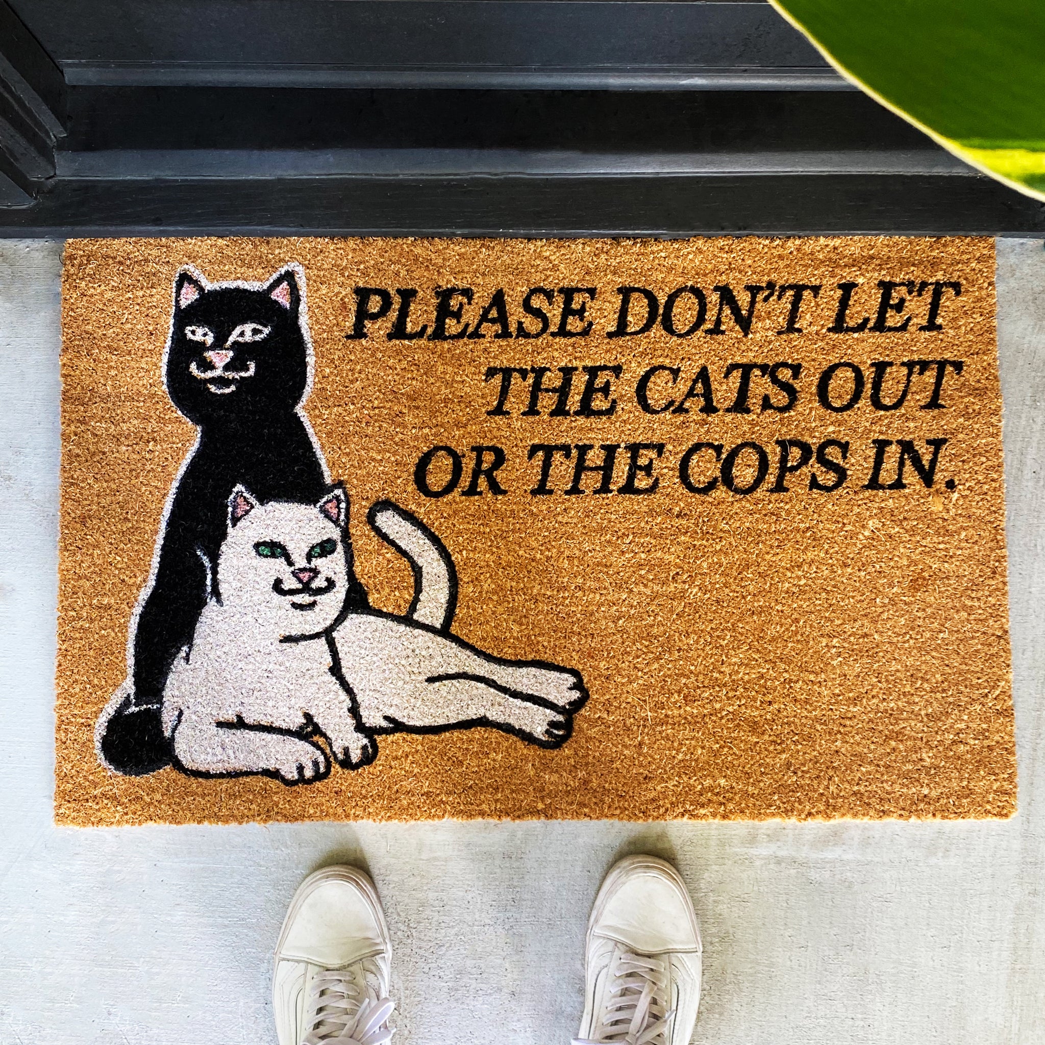 RIPNDIP Don't Let The Cops In Rug (Brown)