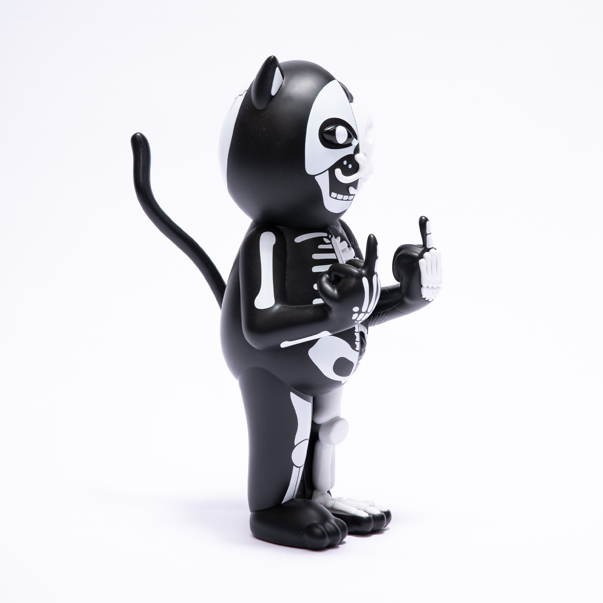 Skelly Nerm Anatomy Toy
